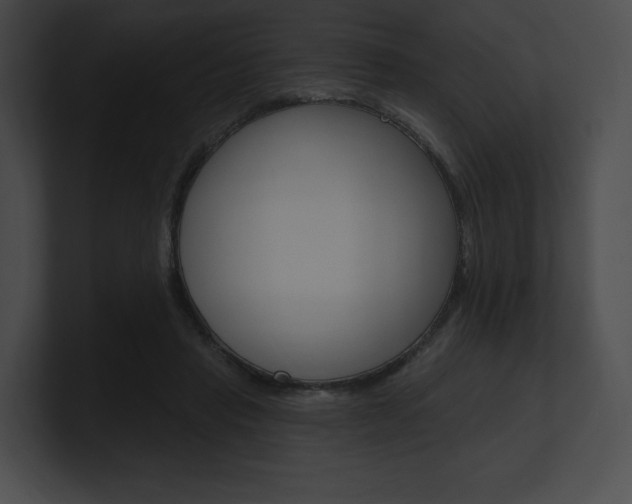 X0000101160453200806270736