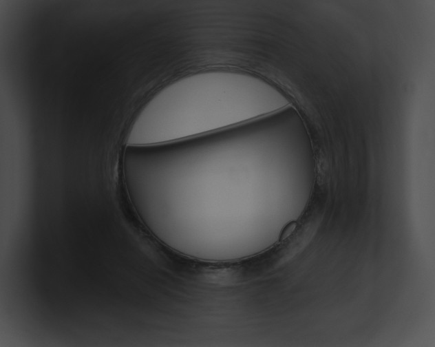 X0000101160454200806270736