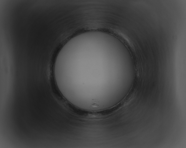 X0000101160455200806270736