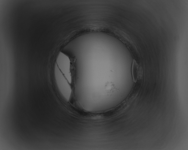 X0000101160456200806270736