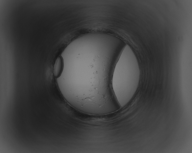 X0000101160458200806270736