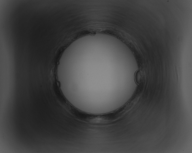 X0000101160460200806270736