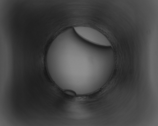 X0000101160461200806270736