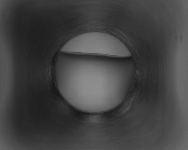 X0000101160462200806270736