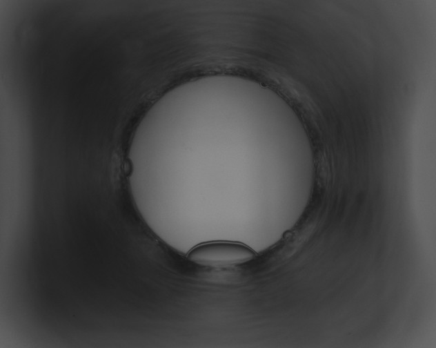 X0000101160463200806270736