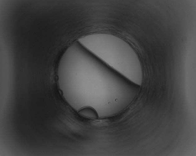 X0000101160465200806270736