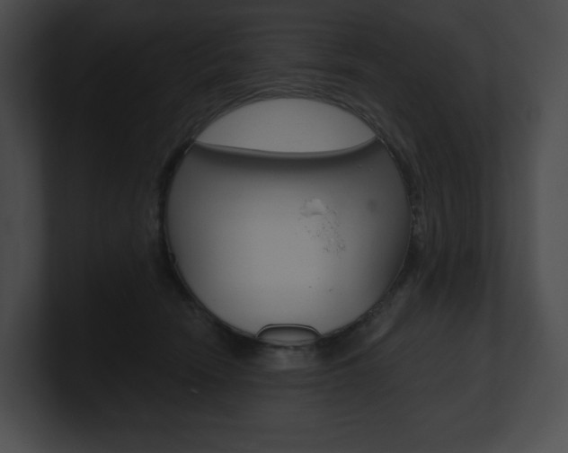 X0000101160466200806270736