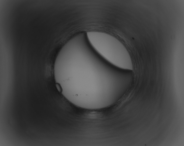 X0000101160467200806270736