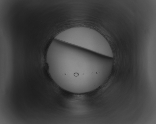 X0000101160469200806270736