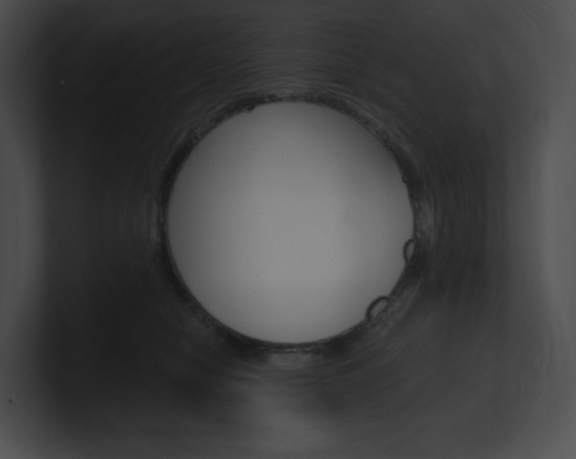 X0000101160470200806270736