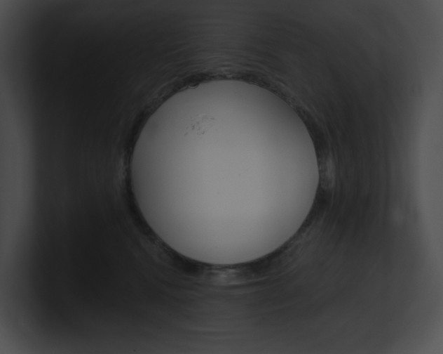 X0000101160472200806270736