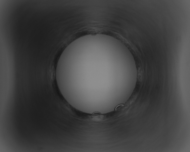 X0000101160474200806270736