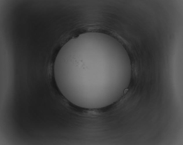 X0000101160475200806270736