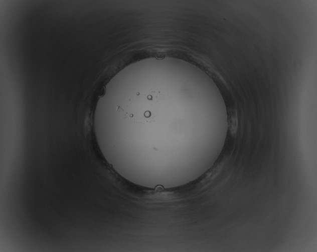 X0000101160476200806270736
