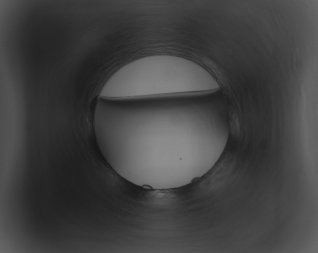 X0000101160477200806270736