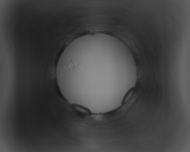 X0000101160478200806270736