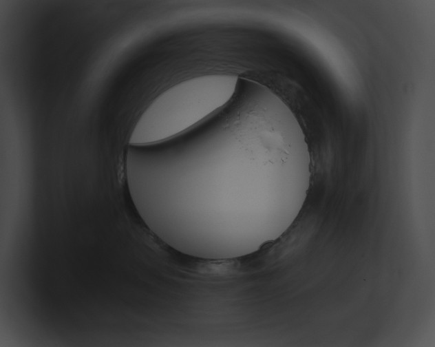 X0000101160479200806270736