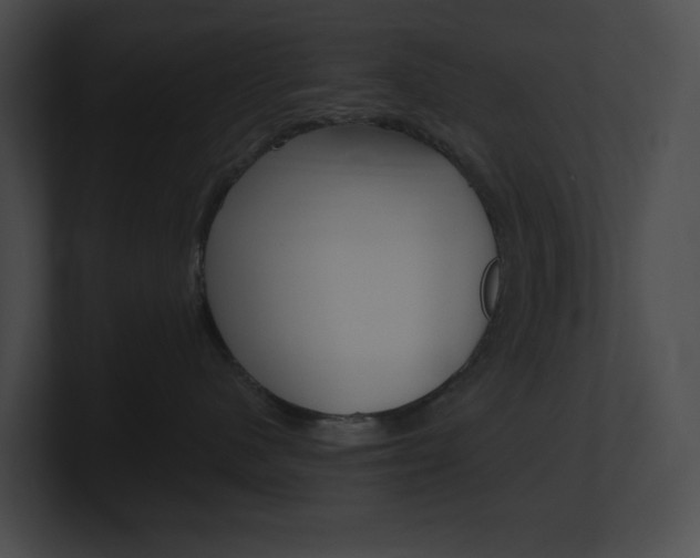 X0000101160480200806270736