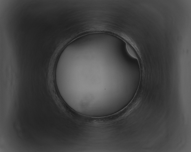 X0000101160481200806270736