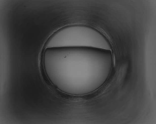X0000101160483200806270736