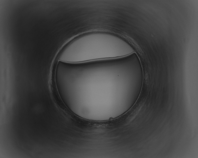 X0000101160484200806270736