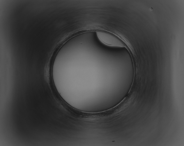 X0000101160485200806270736
