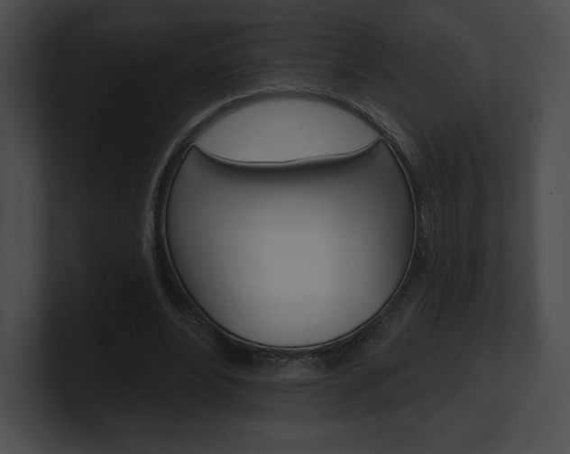 X0000101160488200806270735