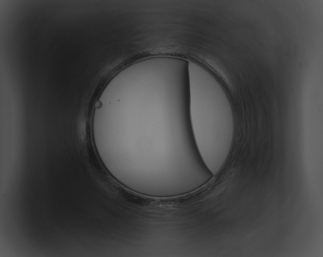 X0000101160491200806270735