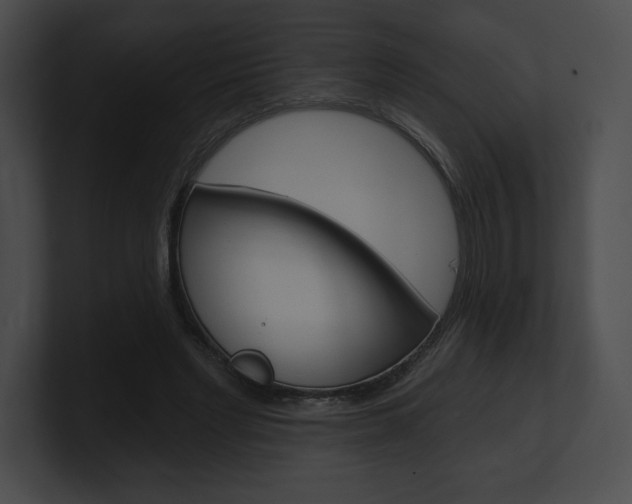 X0000101160493200806270735