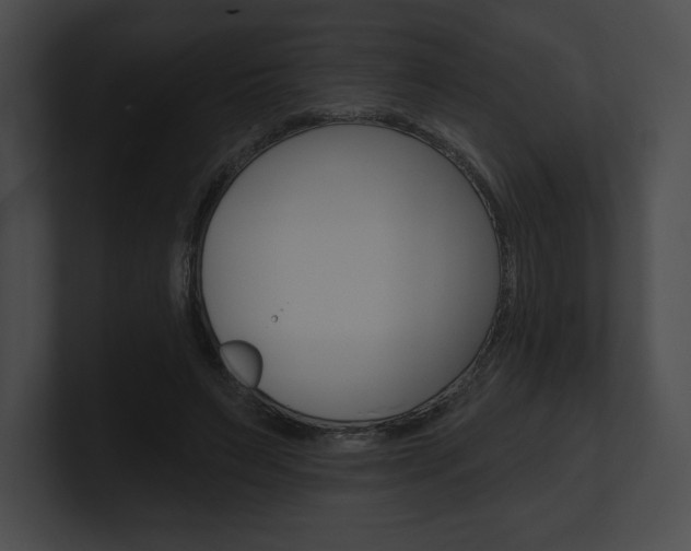 X0000101160495200806270735
