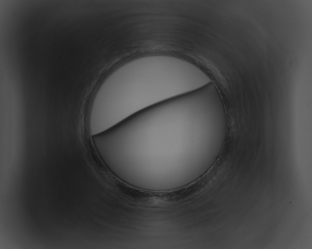 X0000101160496200806270735