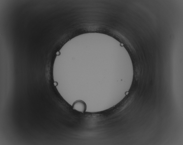 X0000101160497200806270735