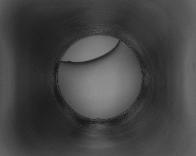 X0000101160498200806270735