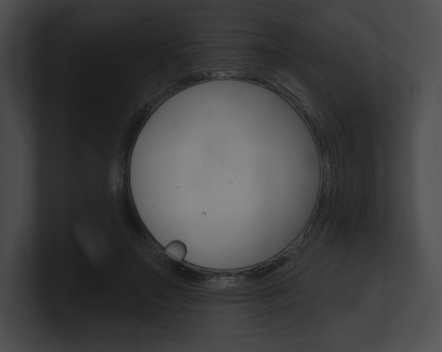 X0000101160499200806270735