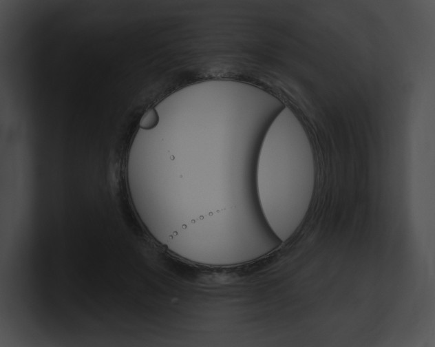 X0000101160503200806270735