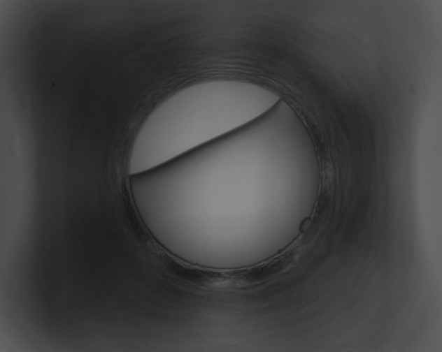 X0000101160504200806270735