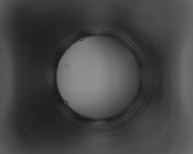 X0000101160505200806270735