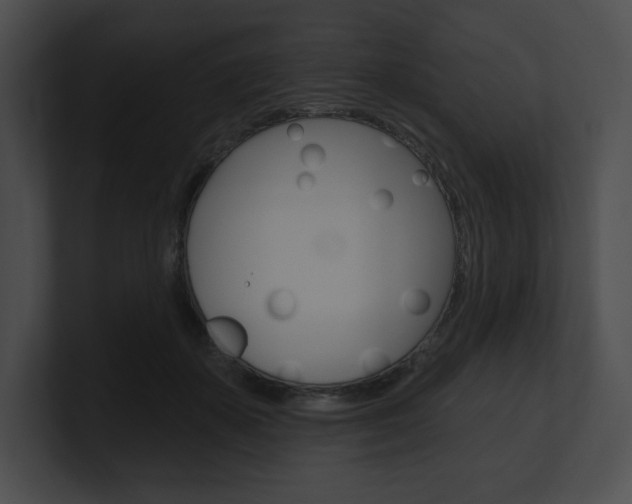 X0000101160507200806270735