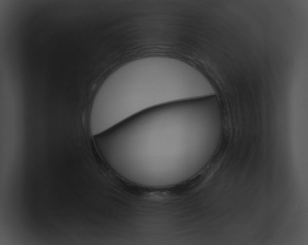 X0000101160508200806270735