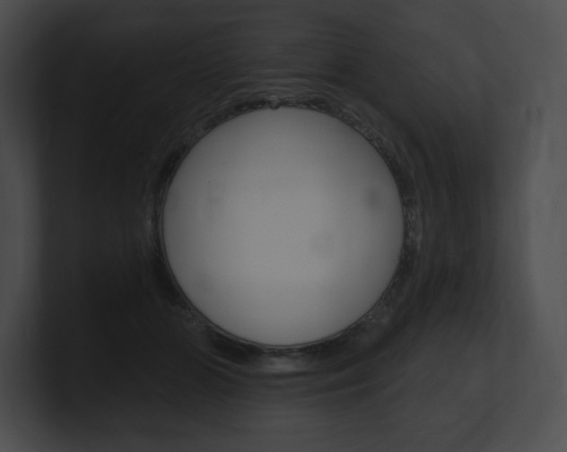 X0000101160510200806270735