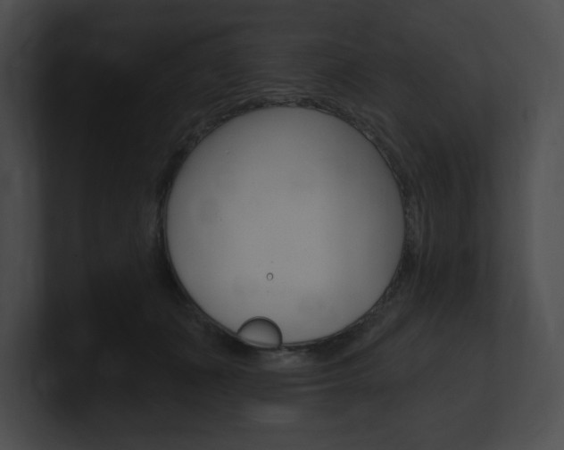 X0000101160511200806270735