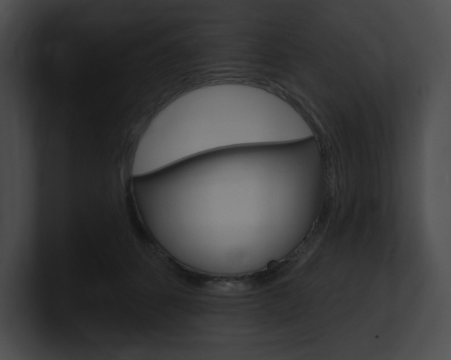 X0000101160512200806270735