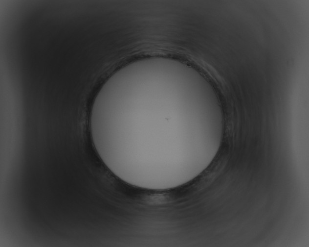 X0000101160513200806270735