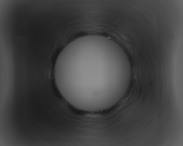 X0000101160515200806270735