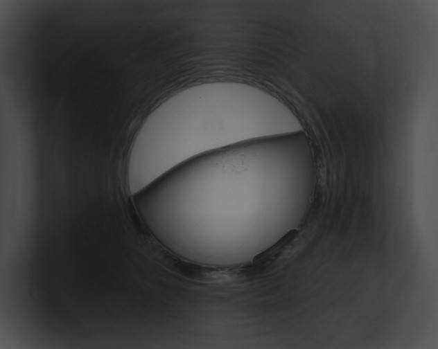 X0000101160516200806270735