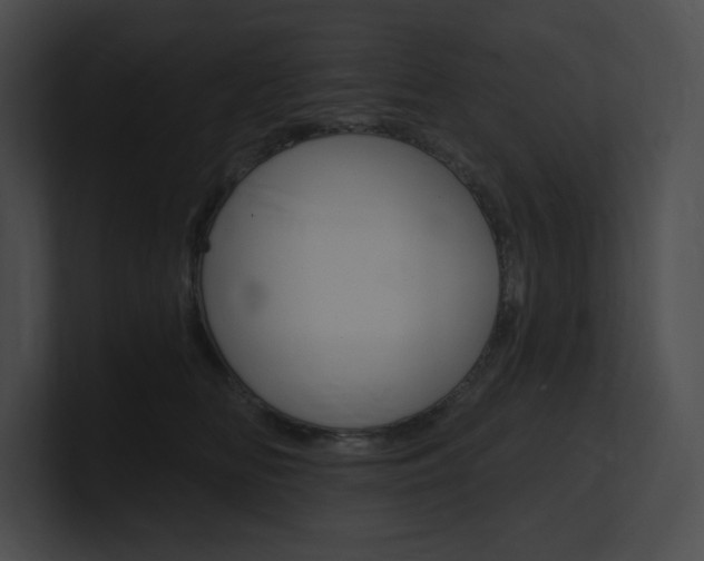 X0000101160518200806270735