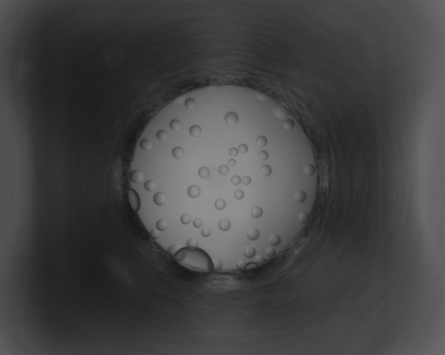 X0000101160519200806270735