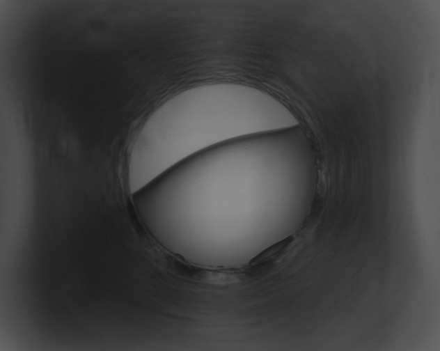 X0000101160520200806270735