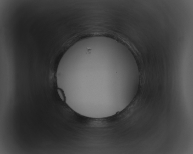 X0000101160521200806270735