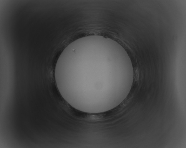 X0000101160522200806270735